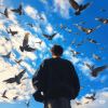阳光少年_991