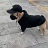 大唐帝