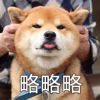 阿久久