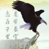 挪鸡鸭。