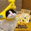 Liu_3174