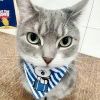 孤独的海风。。。