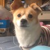旧城₩