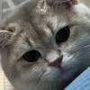 ____◆◇荆刺。_66