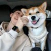 阳光男孩_276