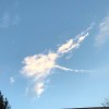 我把橙子当橘子°
