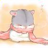 albert_4142