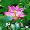 Know_9354