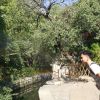 是谁用了我的名字
