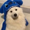 一生一人^.^