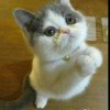 去死去死去