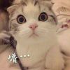 放学的铃声才是中国好声音_772