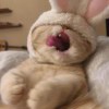 _九日、、燃记#
