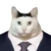 彡☆枫叶