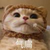 胡鑫_3853