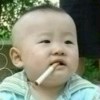 会飞的鱼 _35