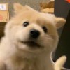 «^.^-----没有◎如果----^.^»