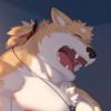 レディースのフレンド