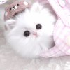 嘘！别回头