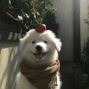 该叫什么啊
