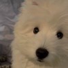 ALICE_6454