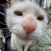爱定你^_^