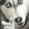 不可一世 Struggleを_527