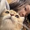 小咪咪(]^ω^[)喵