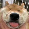寂寞的bb