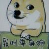 用户头像