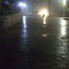 幽兰_905