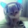 二手情话_563
