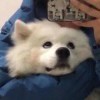 時崎^.^狂三