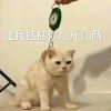 晴天_5480