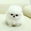 小草_8553