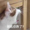 用戶頭像