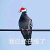 咸鱼_468