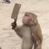 用戶頭像