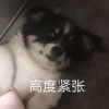 于无声处_7561