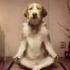 蓝胖子_126