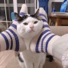 @_4110_qq_4945