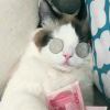 我就是我，独一无二的