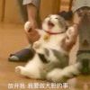 用戶頭像