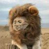 高兴的人