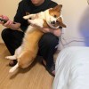 @小汤“媛”