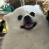 梦澜琴沙