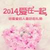 何去何从_60