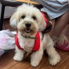 小馒头_2542