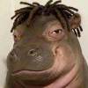 Tod Shu Tabu Skelett 