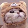 ꧁くうはく꧂